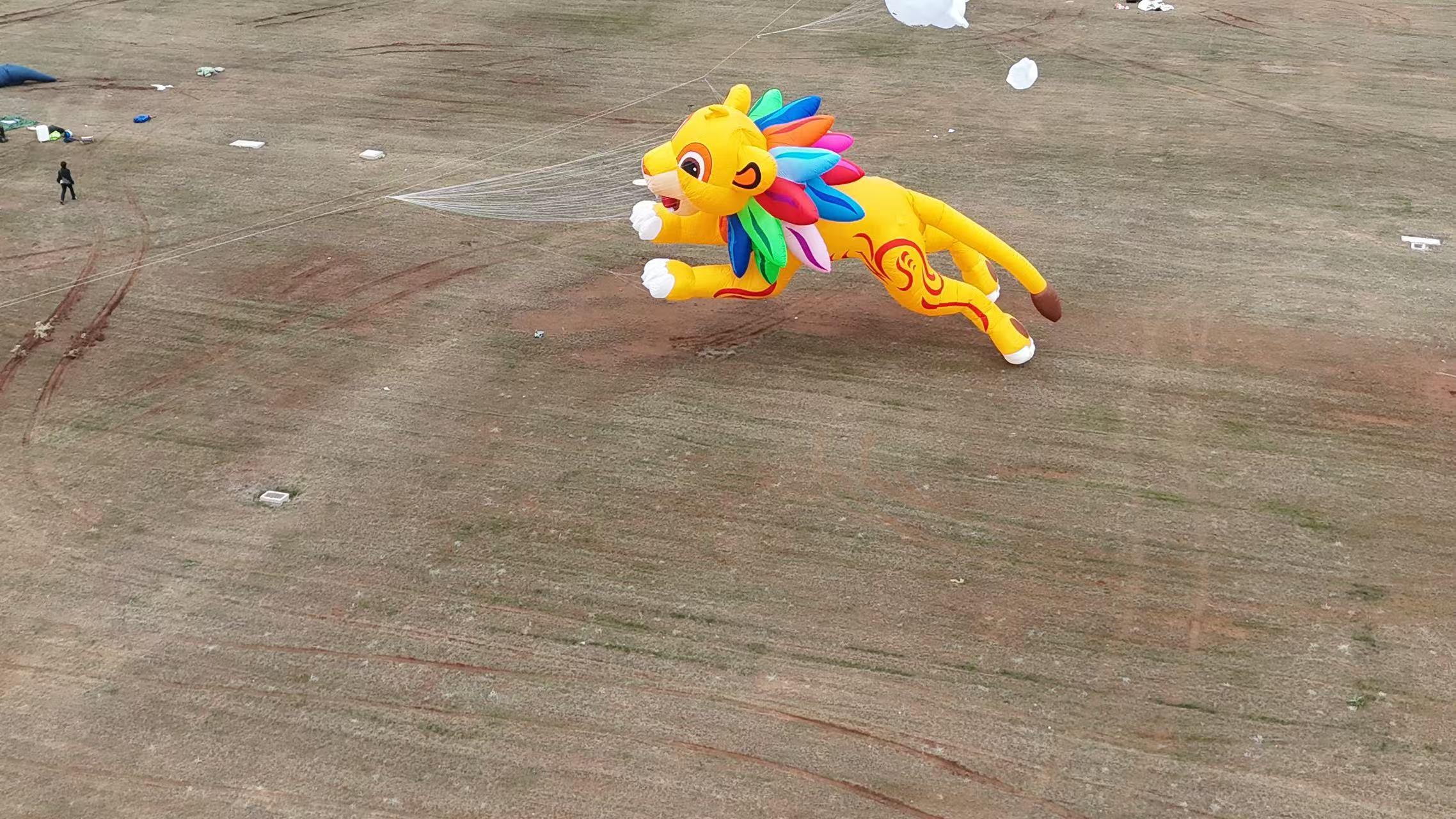 晋城市品牌风筝定制风筝批发 - 方案